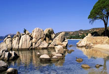 龙海未命名