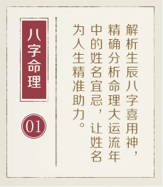 龙海起名流程一